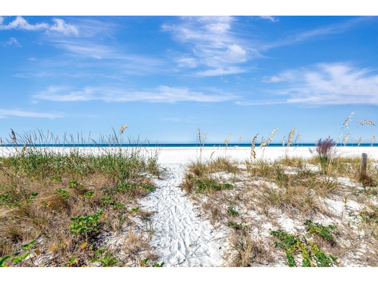 1350 Gulf Boulevard #703 Clearwater Beach FL 33767 - GULF OF AMERICA TB8464829 image36