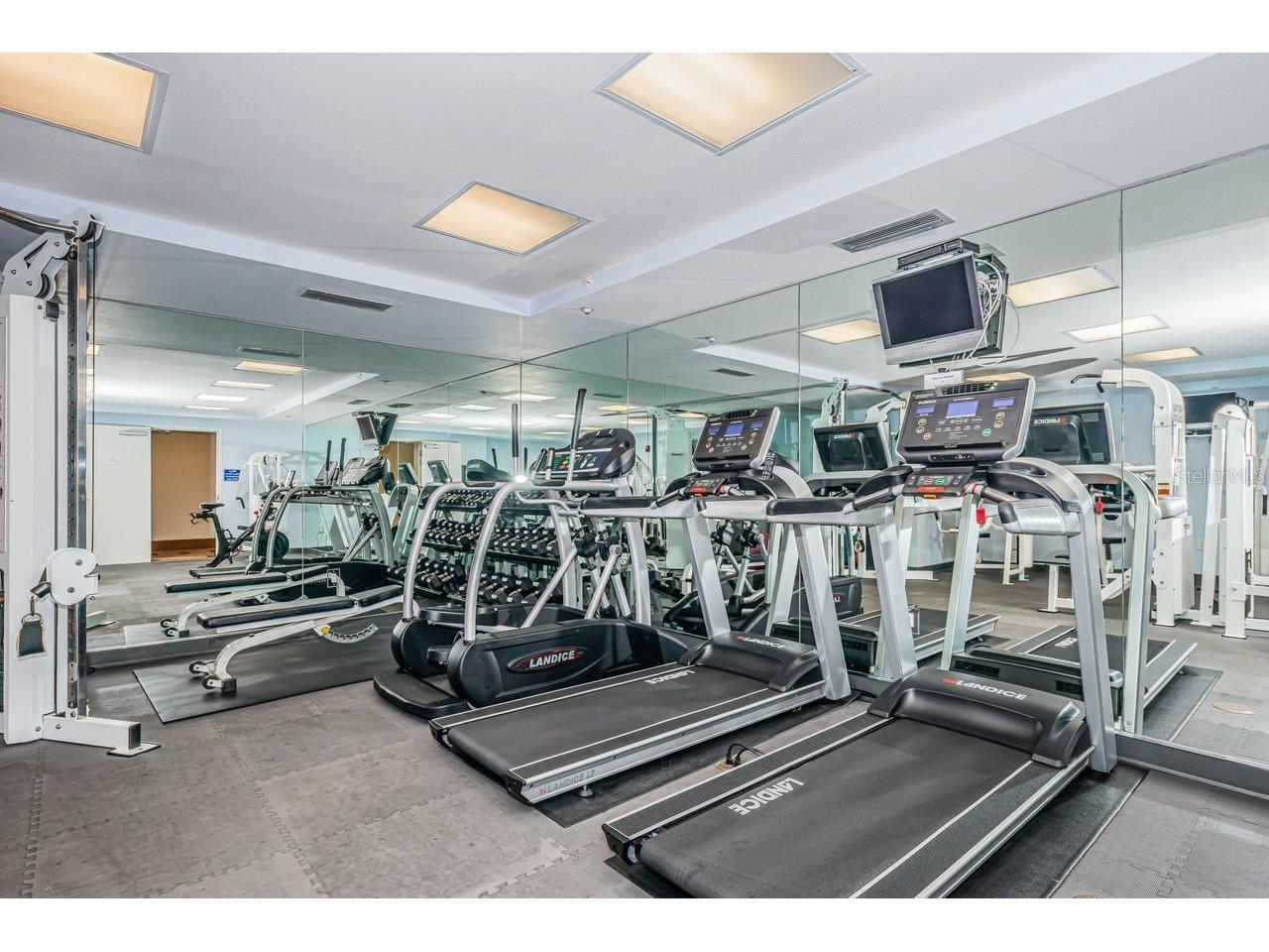 1350 Gulf Boulevard #703 Clearwater Beach FL 33767 - GULF OF AMERICA TB8464829 image45