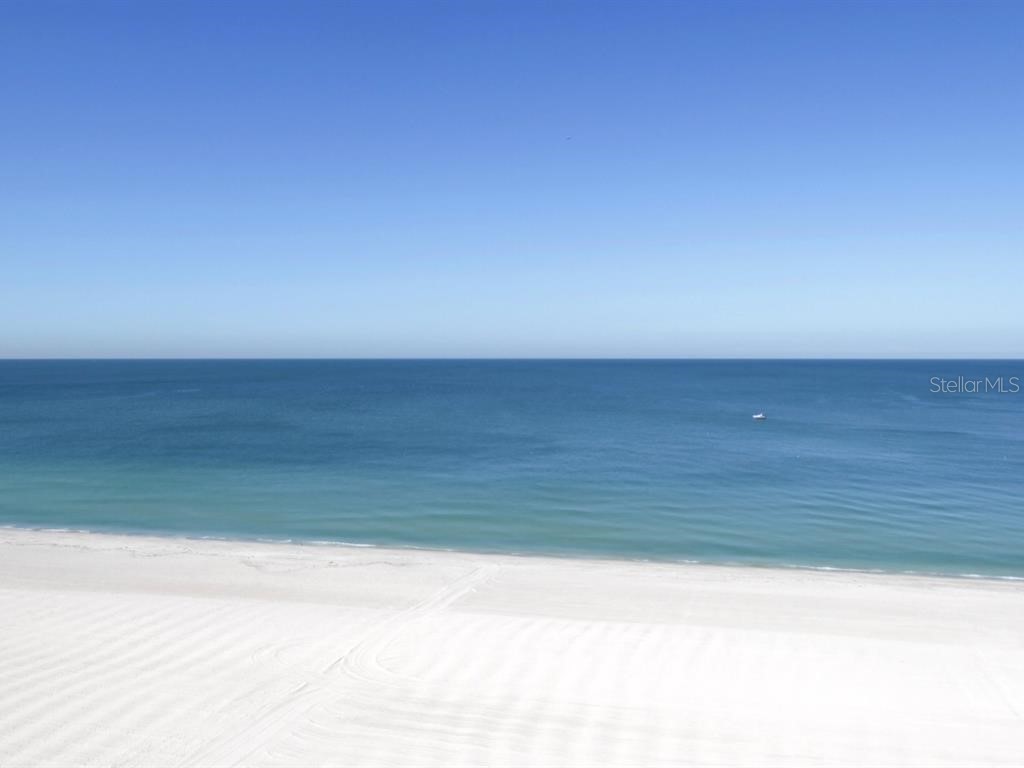 1350 Gulf Boulevard #902 Clearwater FL 33767 - GULF OF MEXICO U8221078 image1