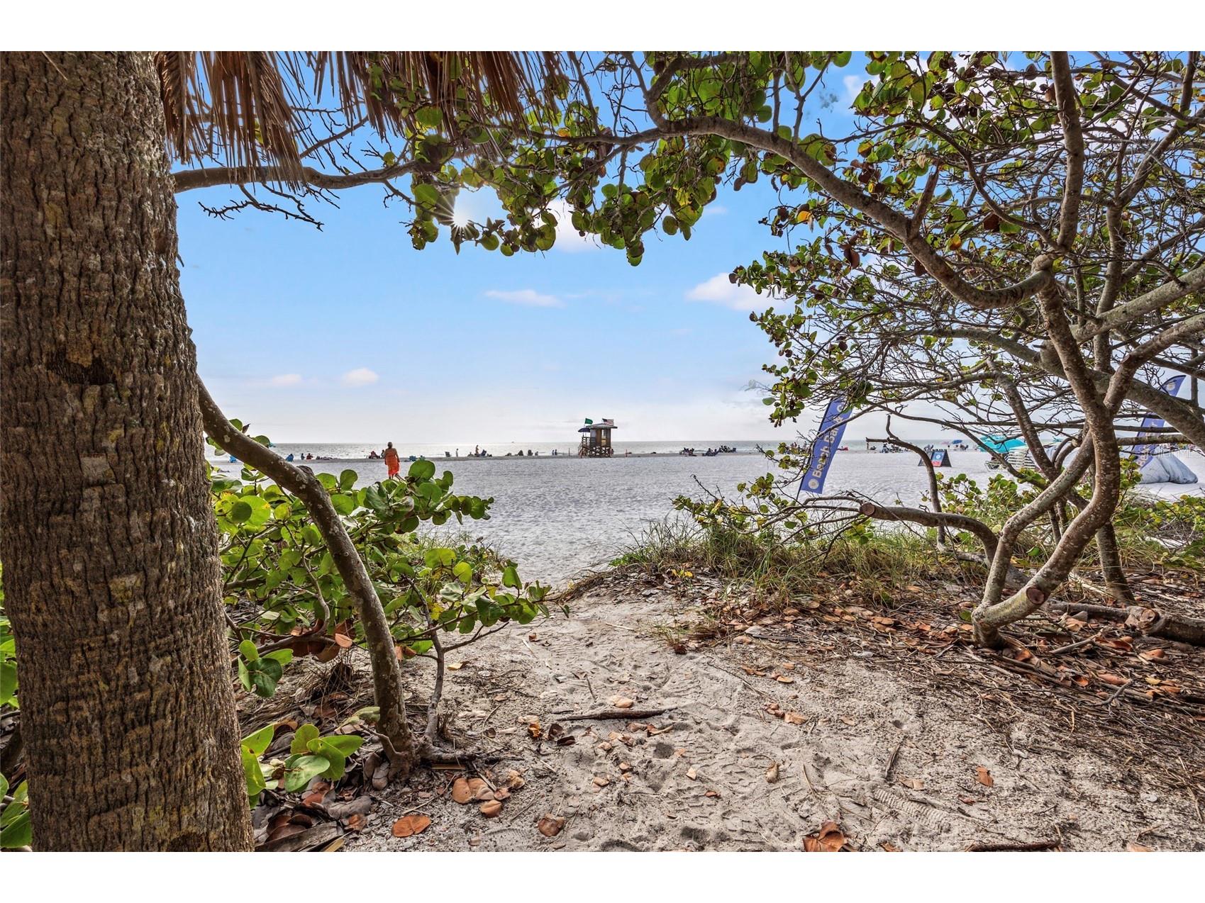 1350 Main Street #302 Sarasota FL 34236 A4696273 image40
