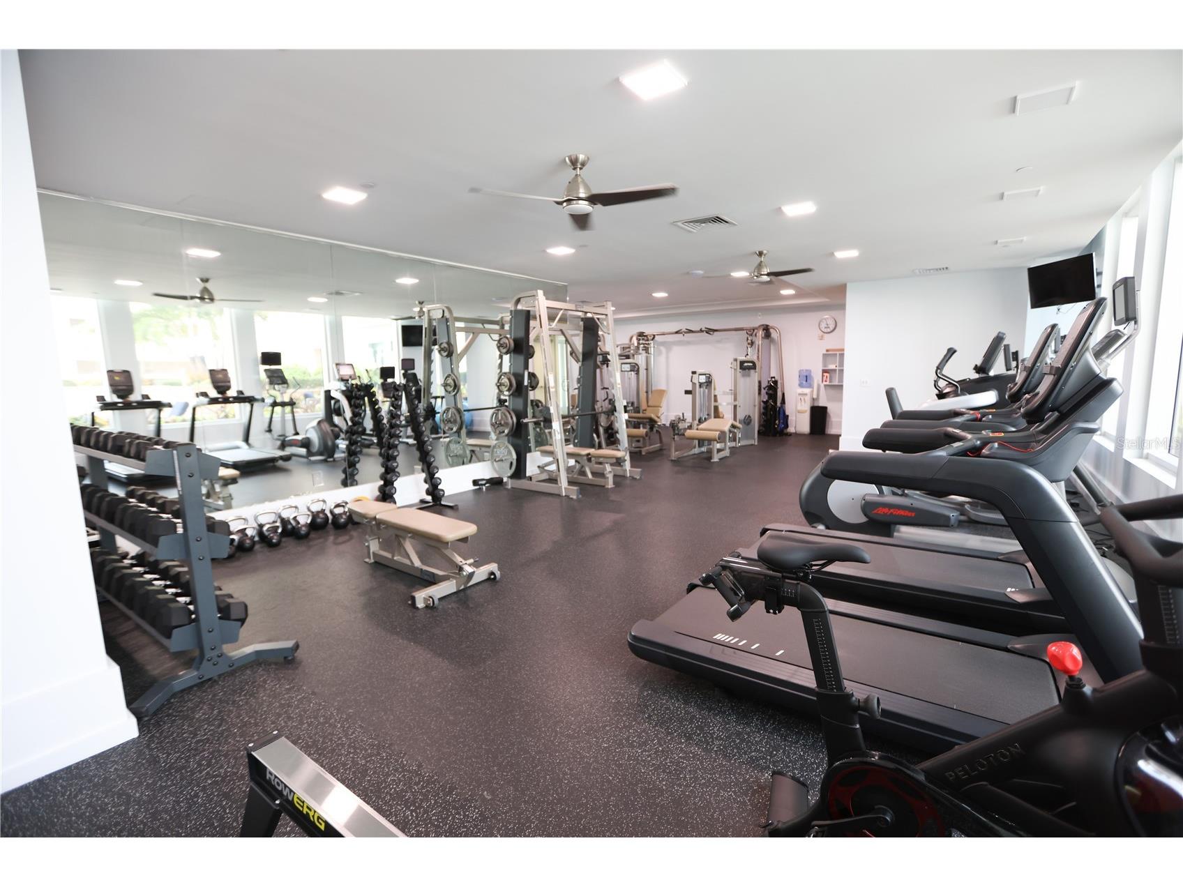 1350 Main Street #709 Sarasota FL 34236 O6396467 image45