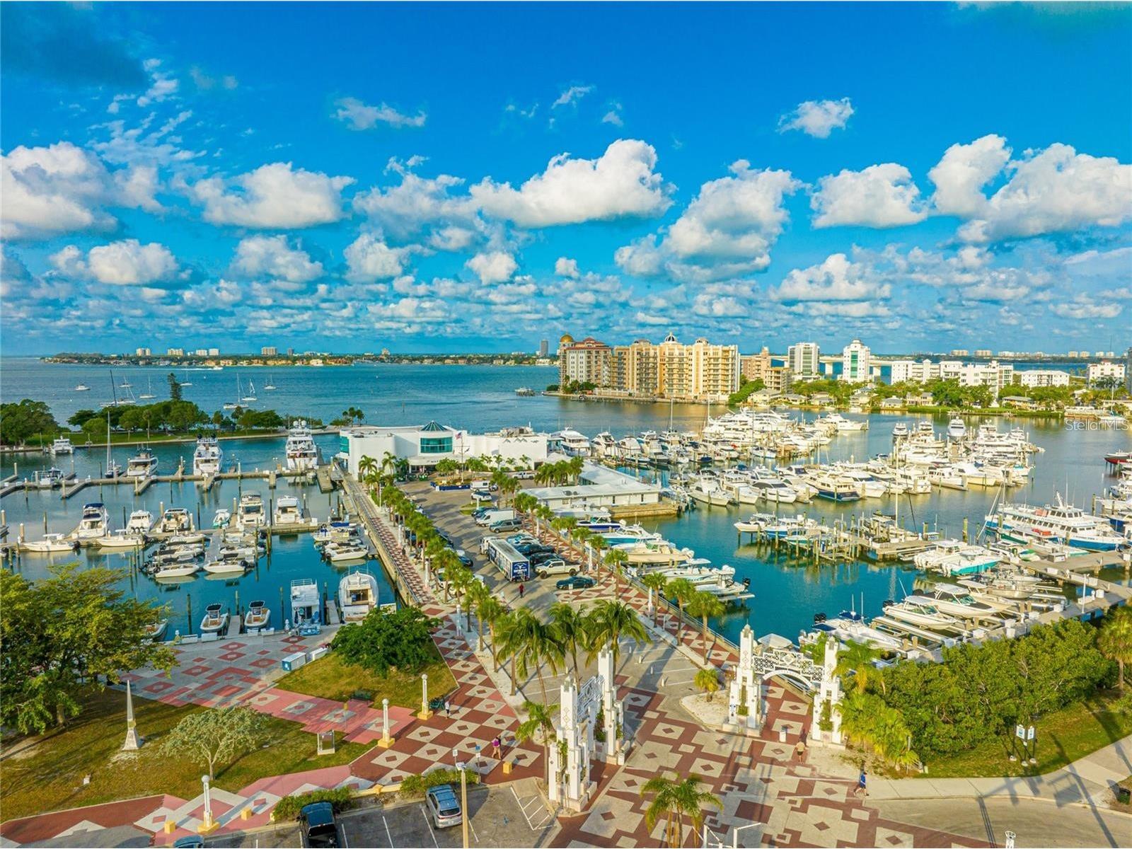 1350 Main Street #709 Sarasota FL 34236 O6396467 image49
