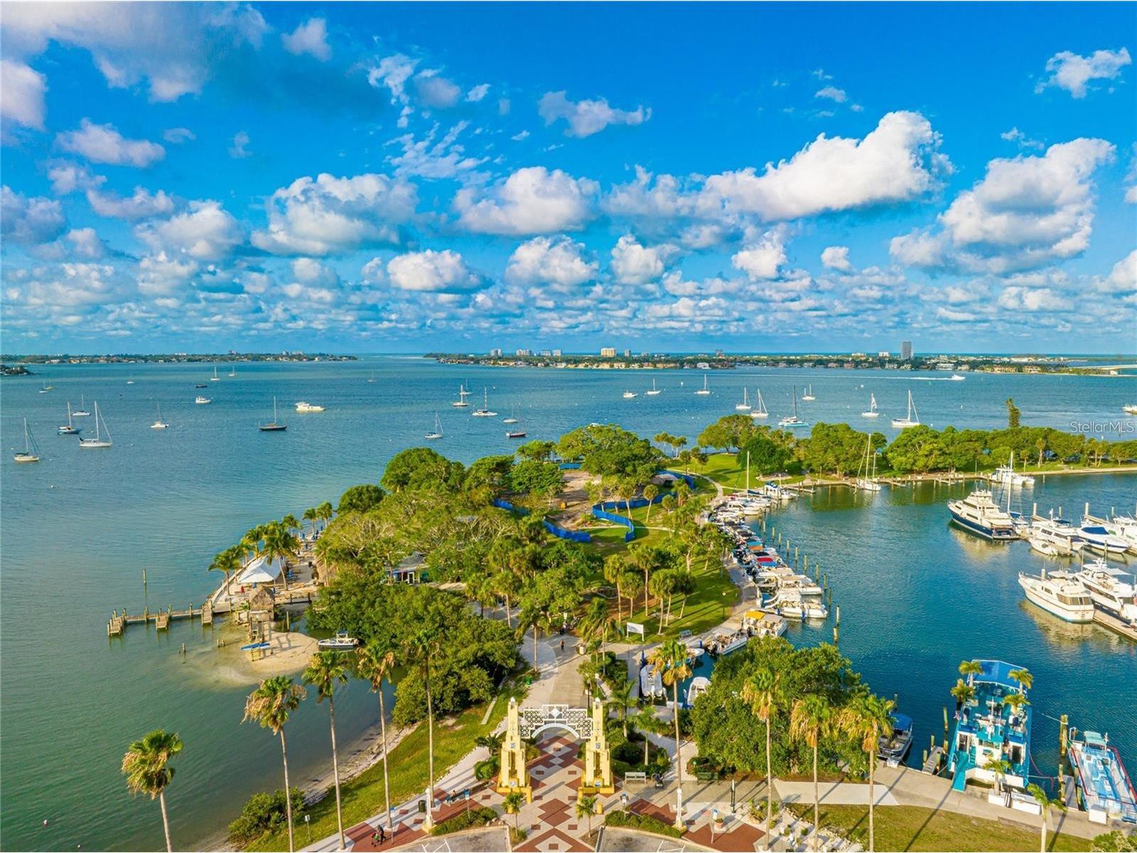 1350 Main Street #709 Sarasota FL 34236 O6396467 image51