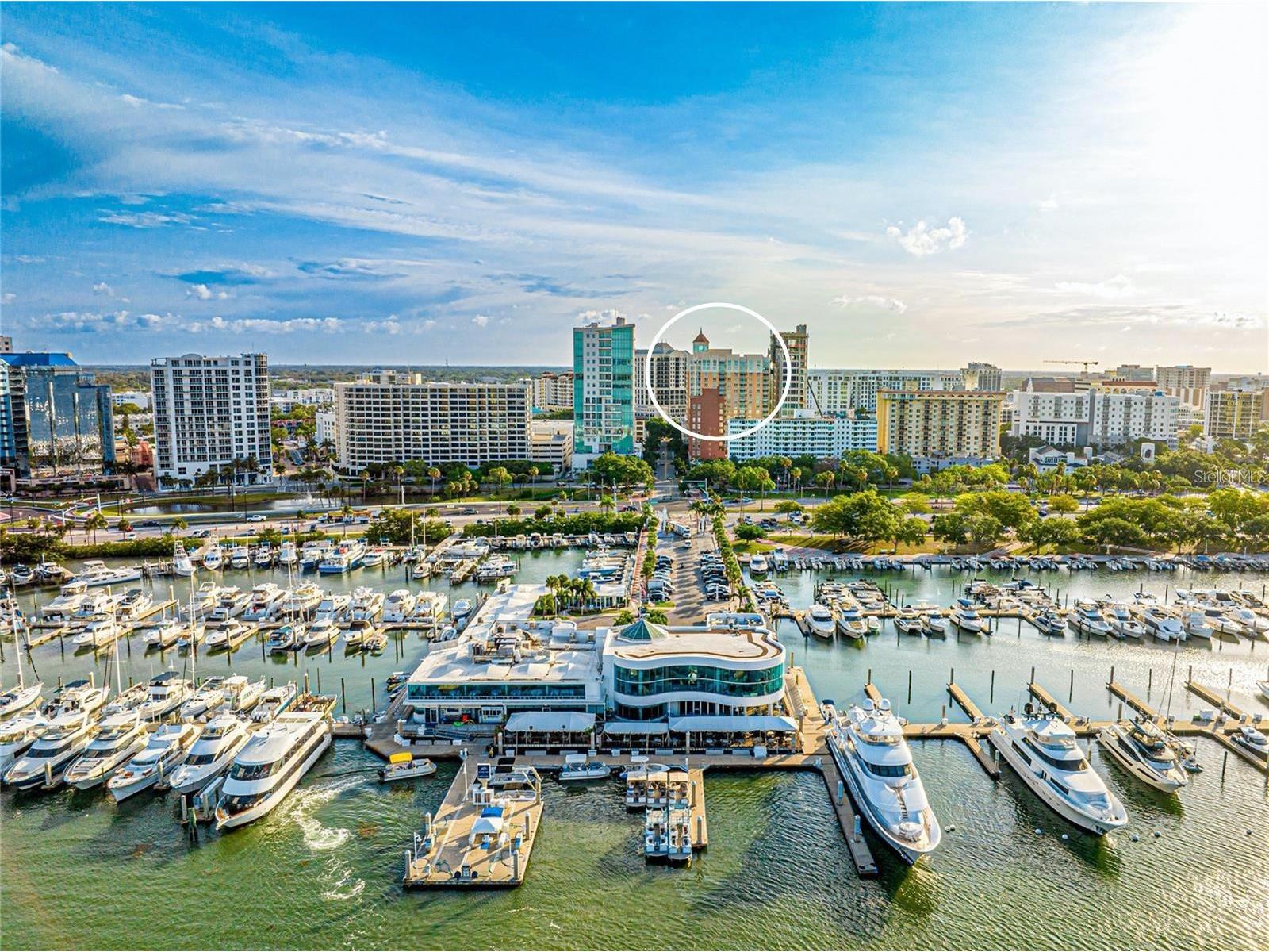 1350 Main Street #709 Sarasota FL 34236 O6396467 image53