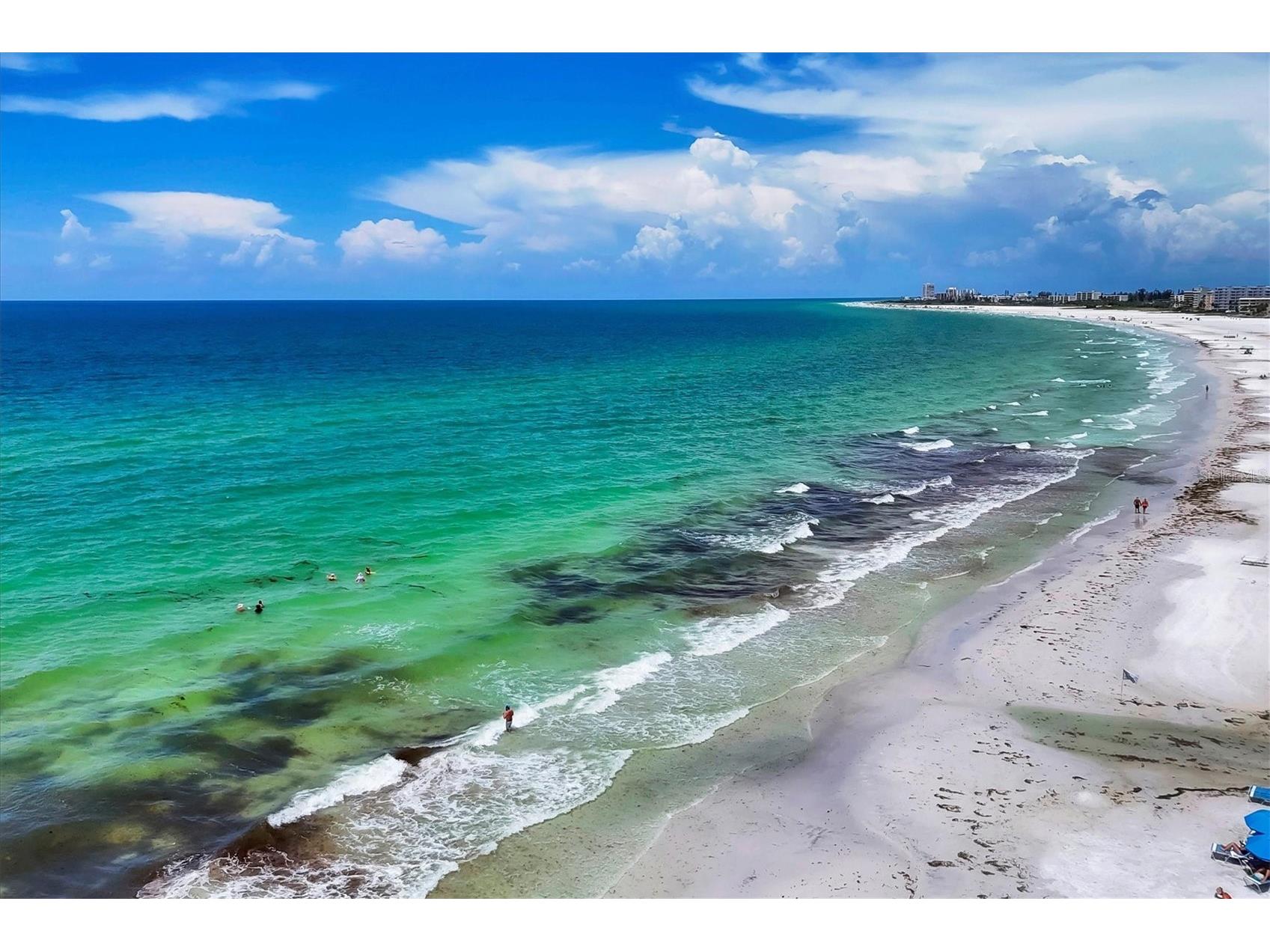 1350 N Portofino Drive #107 Sarasota FL 34242 A4662545 image4