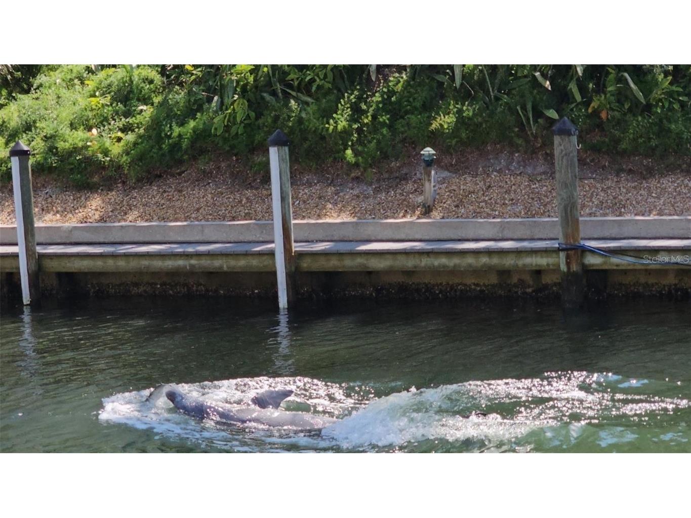 1350 N Portofino Drive #108TAR Sarasota FL 34242 A4581886 image15