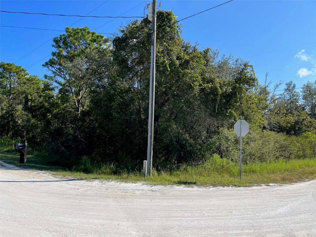 13500 Downy Woodpecker Road Weeki Wachee FL 34614 W7858242 image1