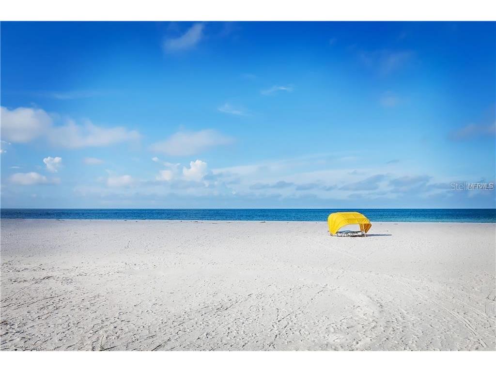13500 Gulf Boulevard #505 Madeira Beach FL 33708 - GULF OF AMERICA TB8351706 image33