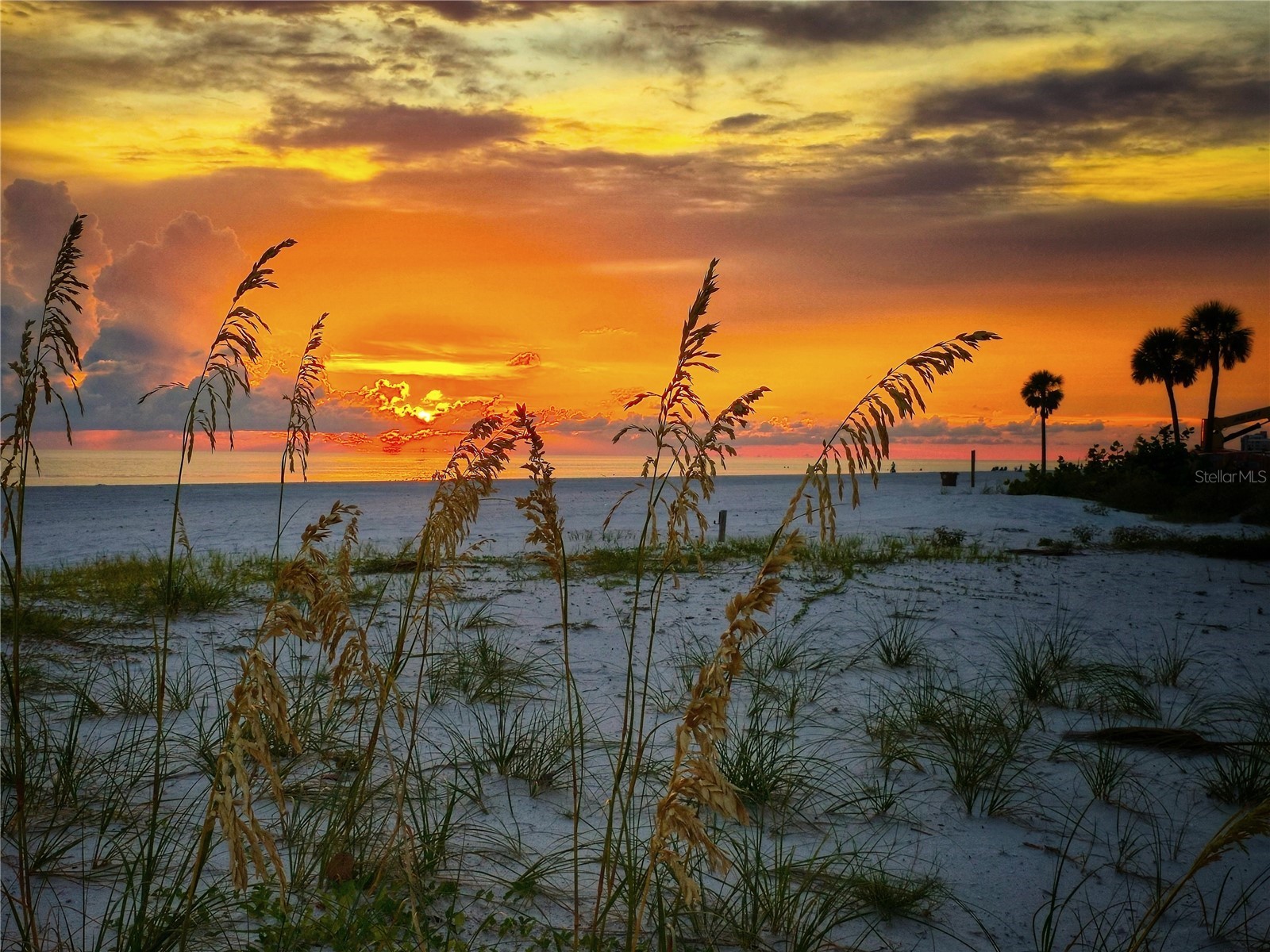 13500 Gulf Boulevard #702 Madeira Beach FL 33708 TB8494403 image25