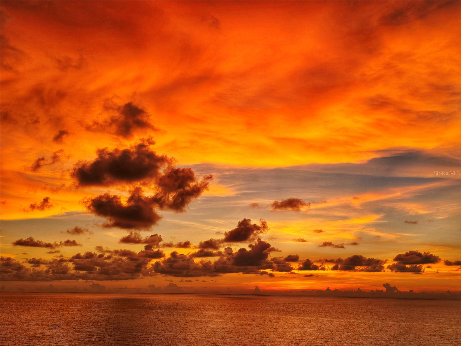 13500 Gulf Boulevard #702 Madeira Beach FL 33708 TB8494403 image26