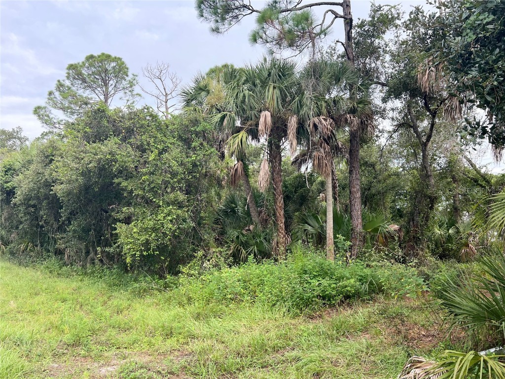 13500 Sedgwick Avenue Port Charlotte FL 33953 C7514398 image5