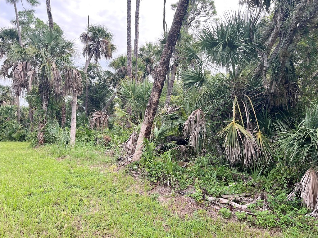 13500 Sedgwick Avenue Port Charlotte FL 33953 C7514398 image7