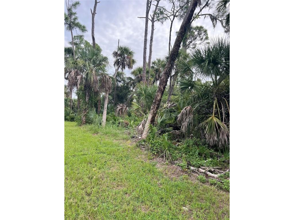 13500 Sedgwick Avenue Port Charlotte FL 33953 C7514398 image8