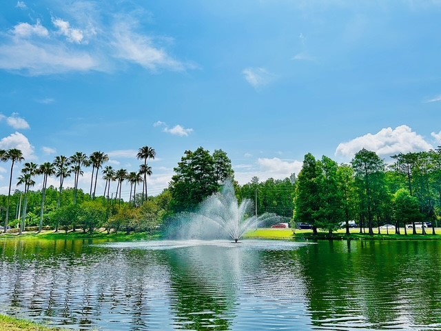 13500 Turtle Marsh Loop #825 Orlando FL 32837 S5130143 image4