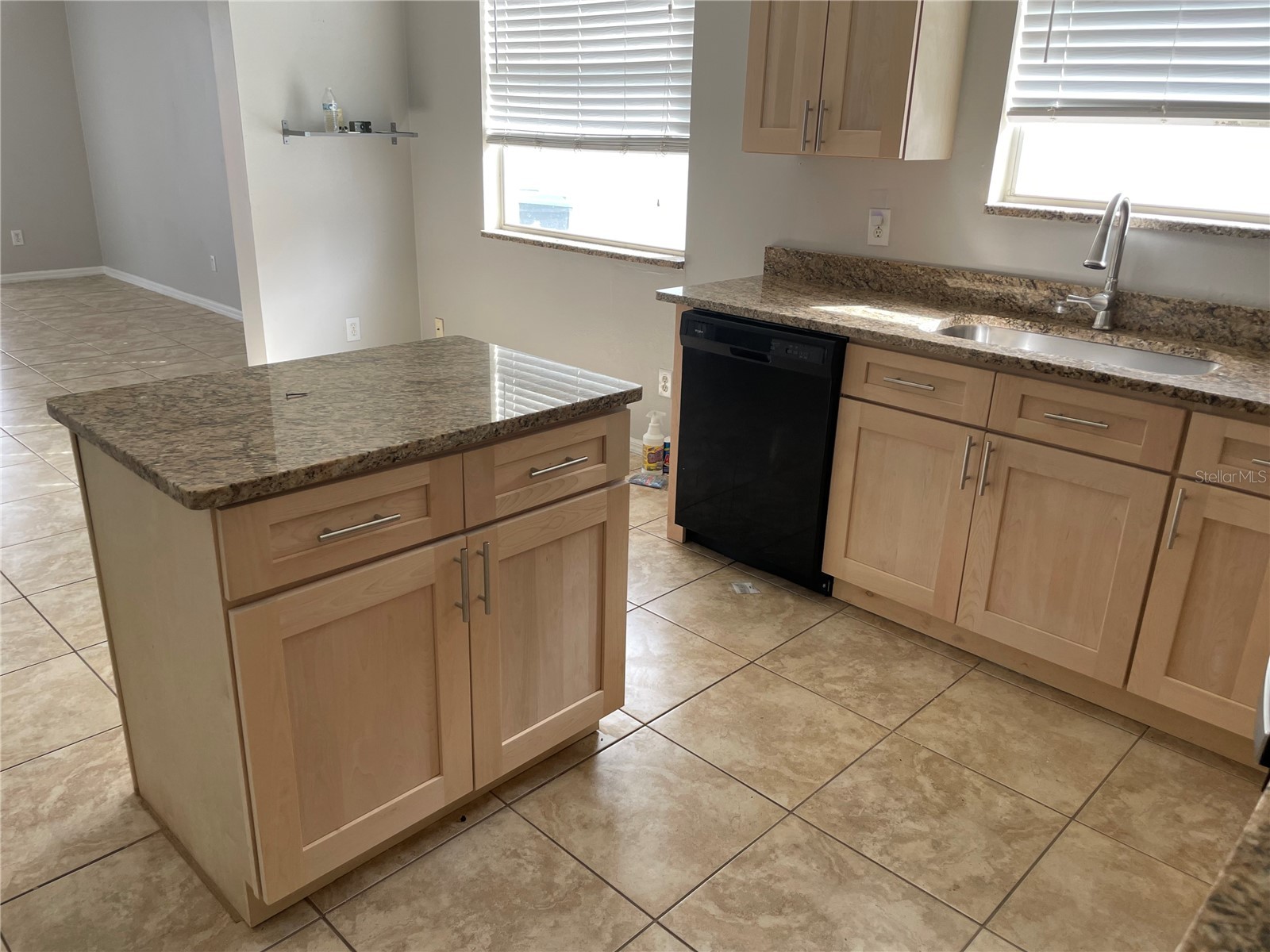 13501 Briarmoor Court Orlando FL 32837 R4911002 image5