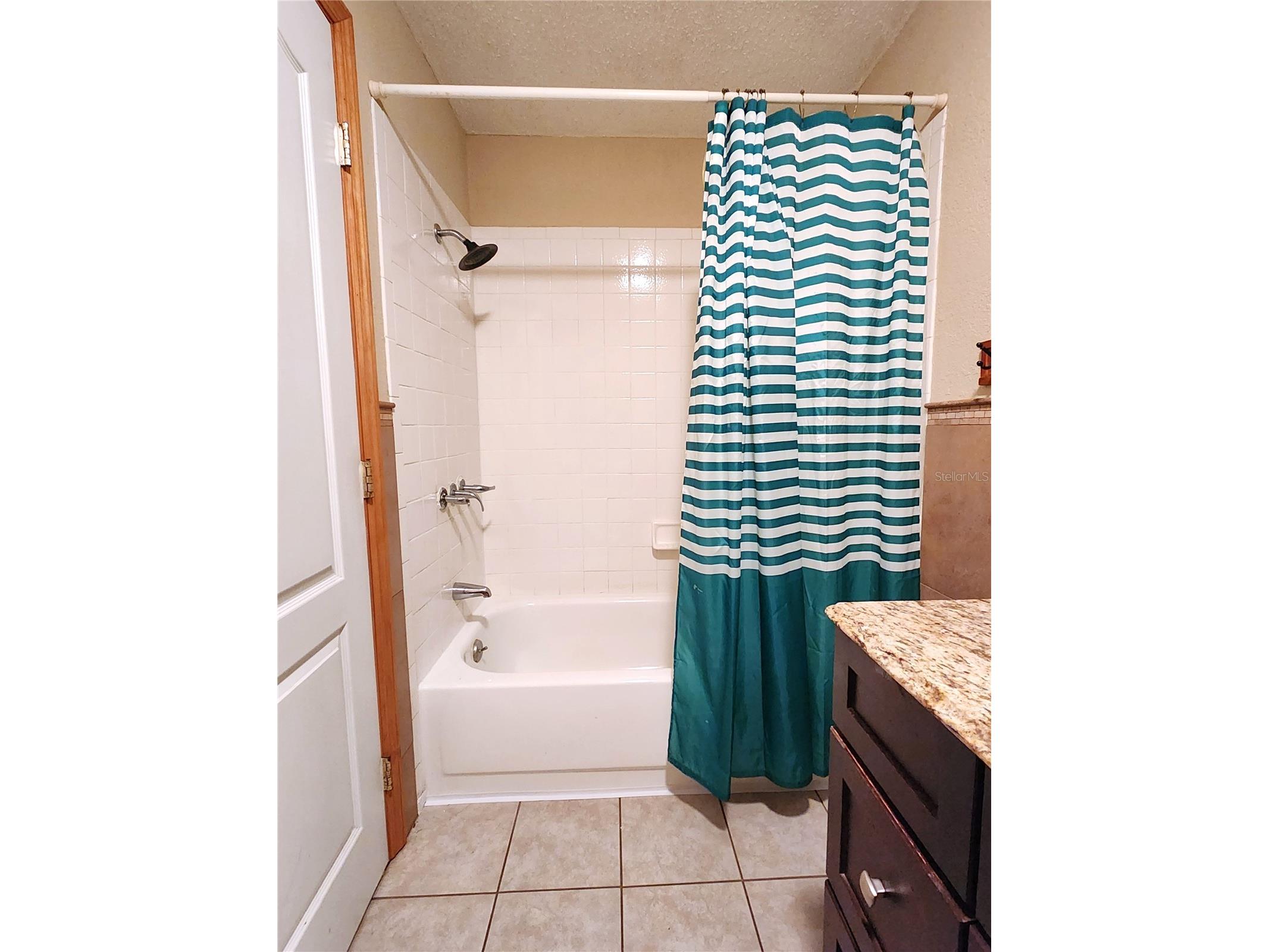 13501 NE 245th Street Road Fort Mc Coy FL 32134 OM728585 image25