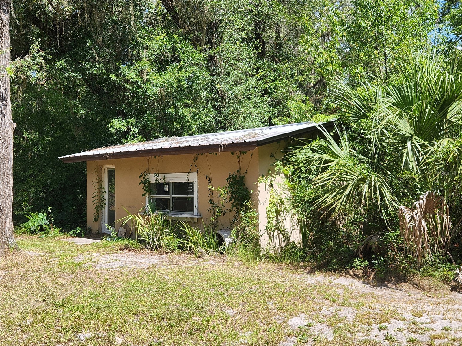 13501 NE 245th Street Road Fort Mc Coy FL 32134 OM728585 image35