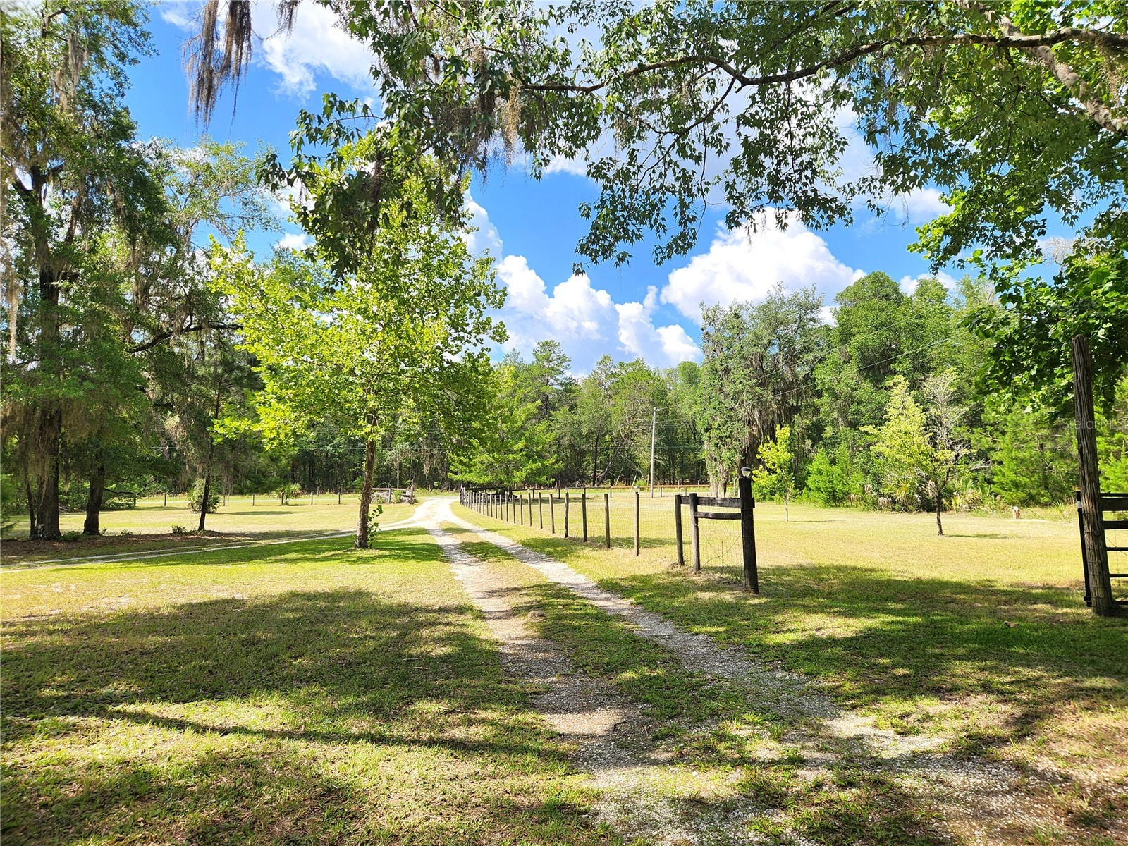 13501 NE 245th Street Road Fort Mc Coy FL 32134 OM728585 image39
