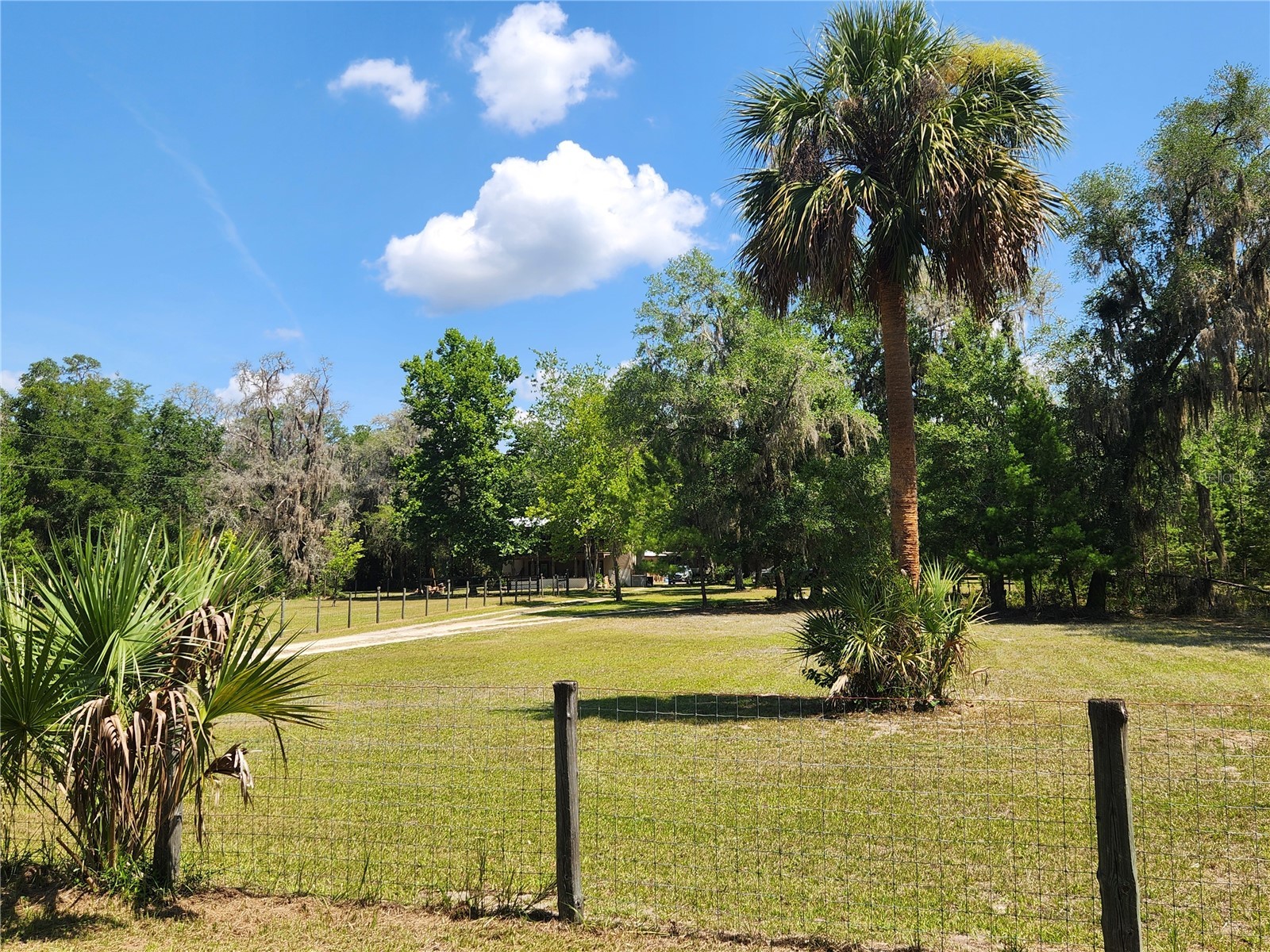 13501 NE 245th Street Road Fort Mc Coy FL 32134 OM728585 image44