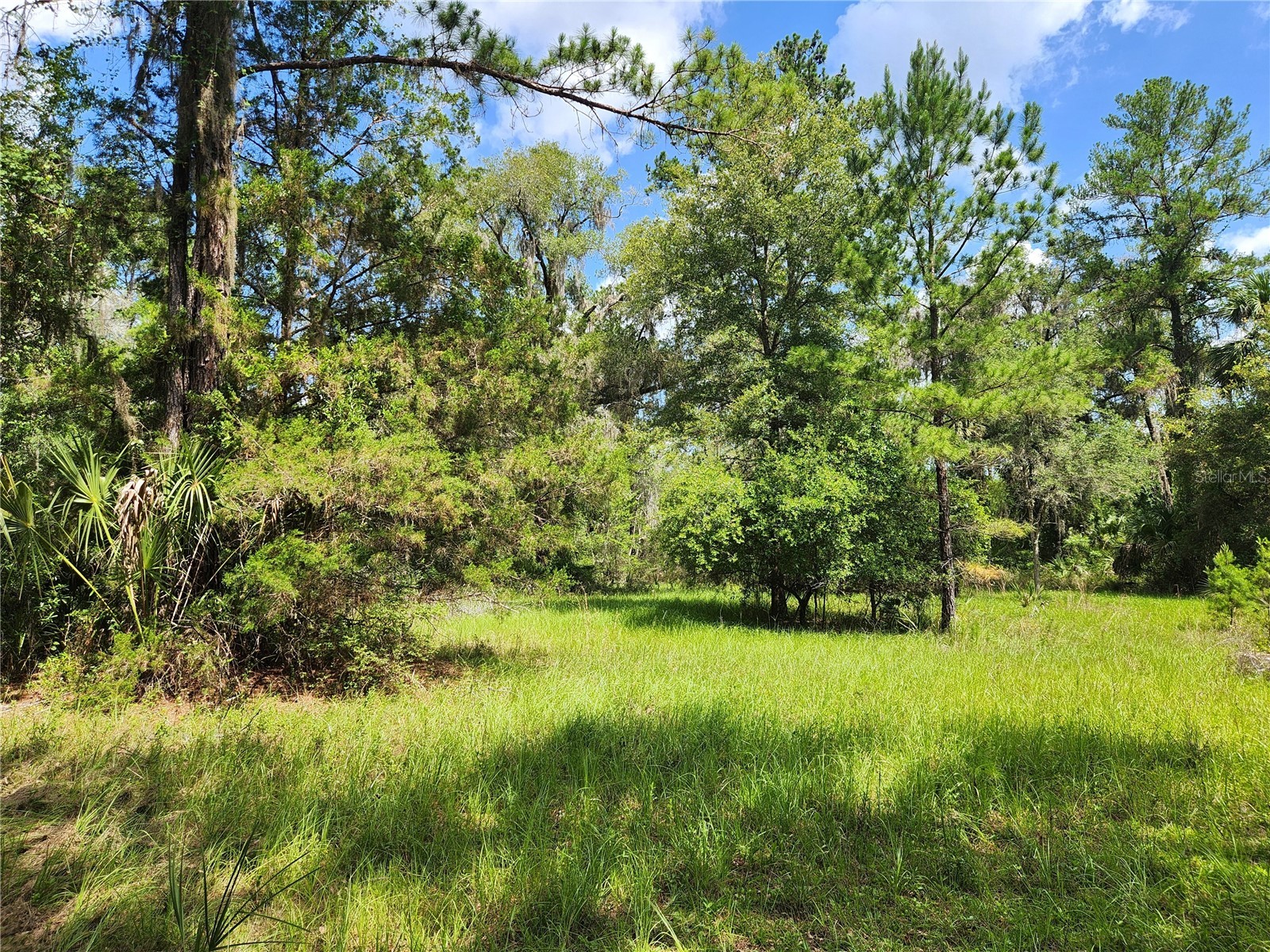 13501 NE 245th Street Road Fort Mc Coy FL 32134 OM728585 image48