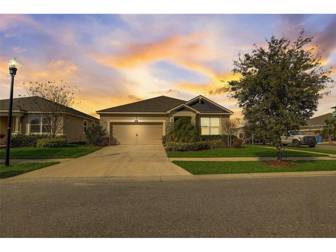 13501 Texas Sage Place Riverview FL 33579 T3507468 image1