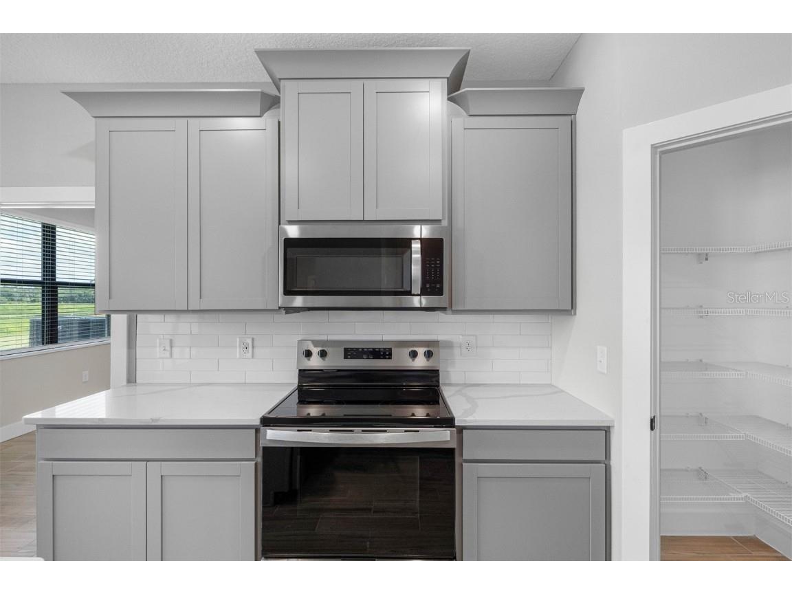 13501 Walden Sheffield Road Dover FL 33527 TB8453905 image2