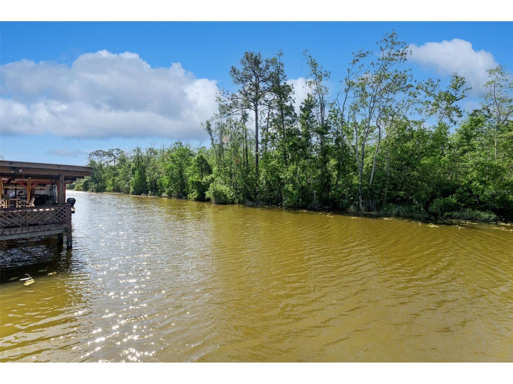 13502 Country Club Drive Tavares FL 32778 - LITTLE LAKE HARRIS G5111423 image35