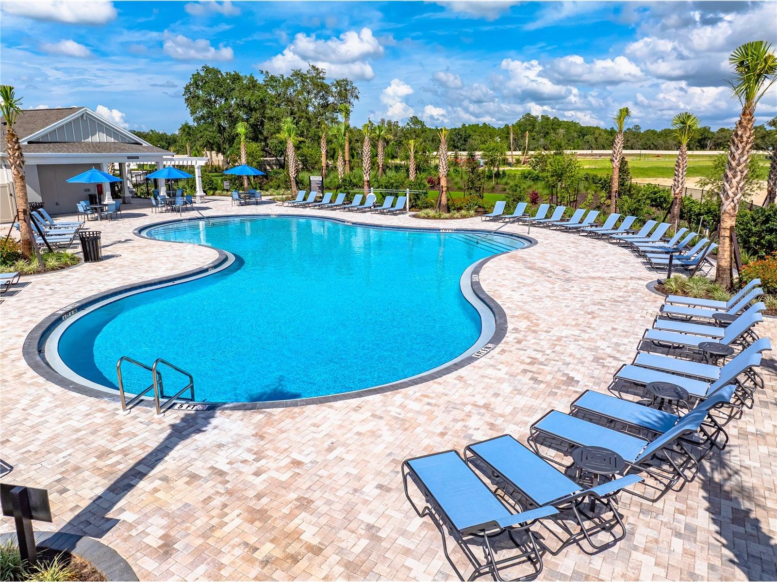 13502 Tropical Breeze Way Hudson FL 34669 TB8437925 image20