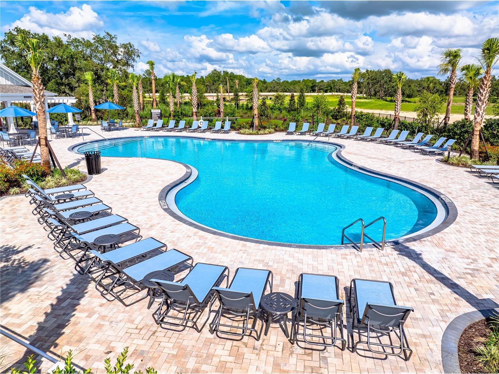 13502 Tropical Breeze Way Hudson FL 34669 TB8437925 image21