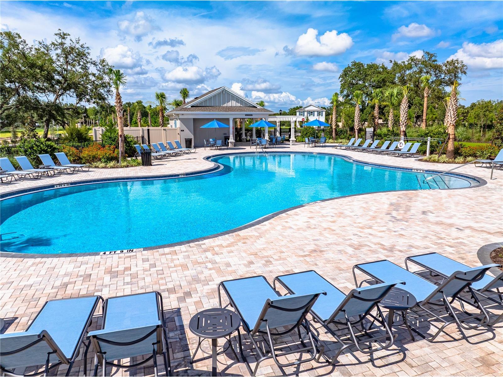 13502 Tropical Breeze Way Hudson FL 34669 TB8437925 image22