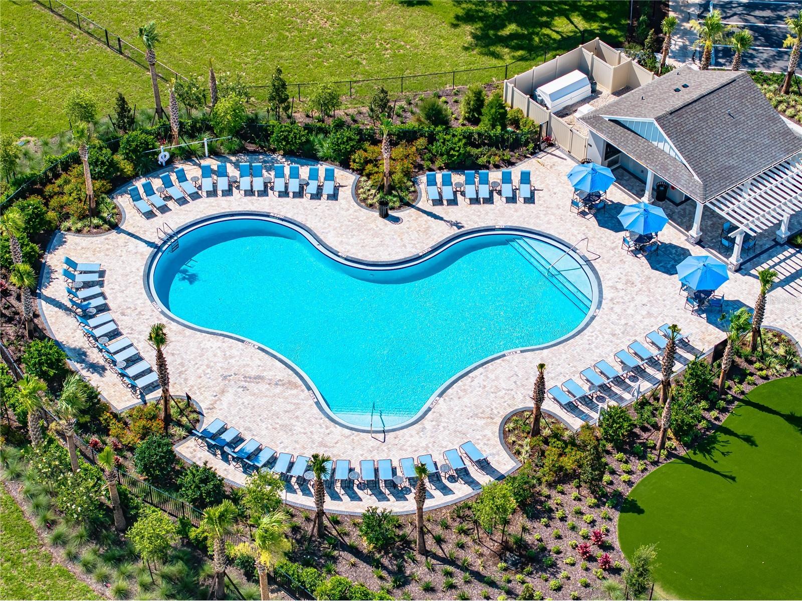 13502 Tropical Breeze Way Hudson FL 34669 TB8437925 image24