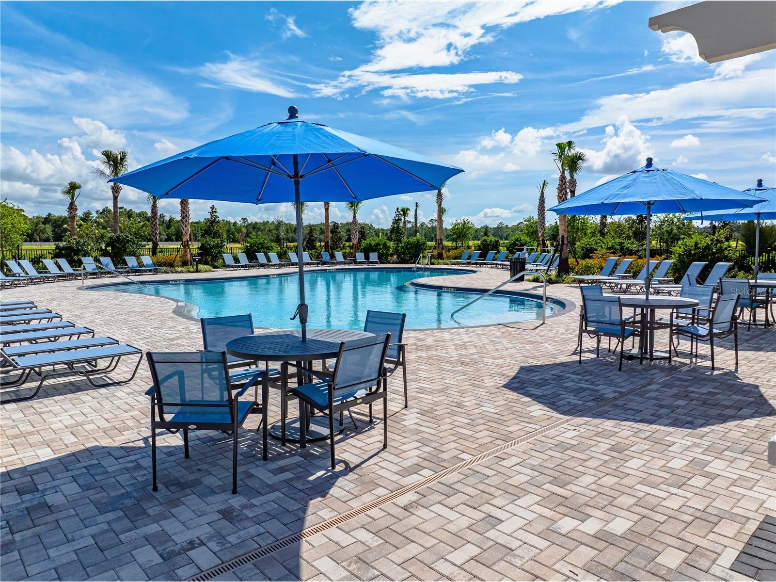 13502 Tropical Breeze Way Hudson FL 34669 TB8437925 image27