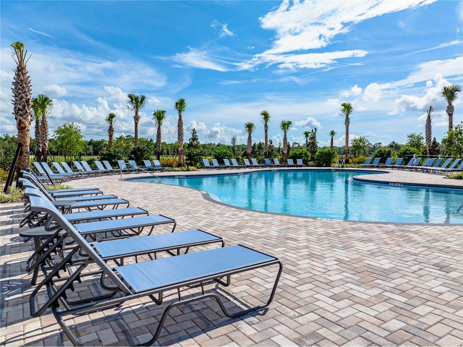 13502 Tropical Breeze Way Hudson FL 34669 TB8437925 image28