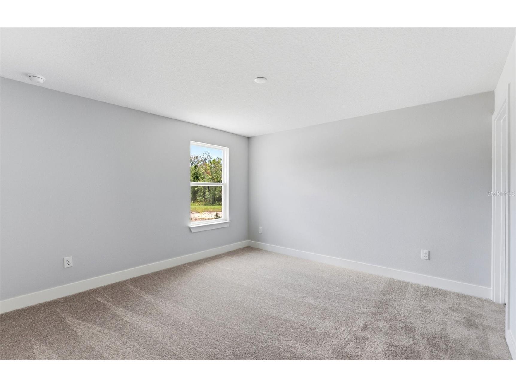 13504 Canyon Ridge Road Spring Hill FL 34610 TB8485674 image15