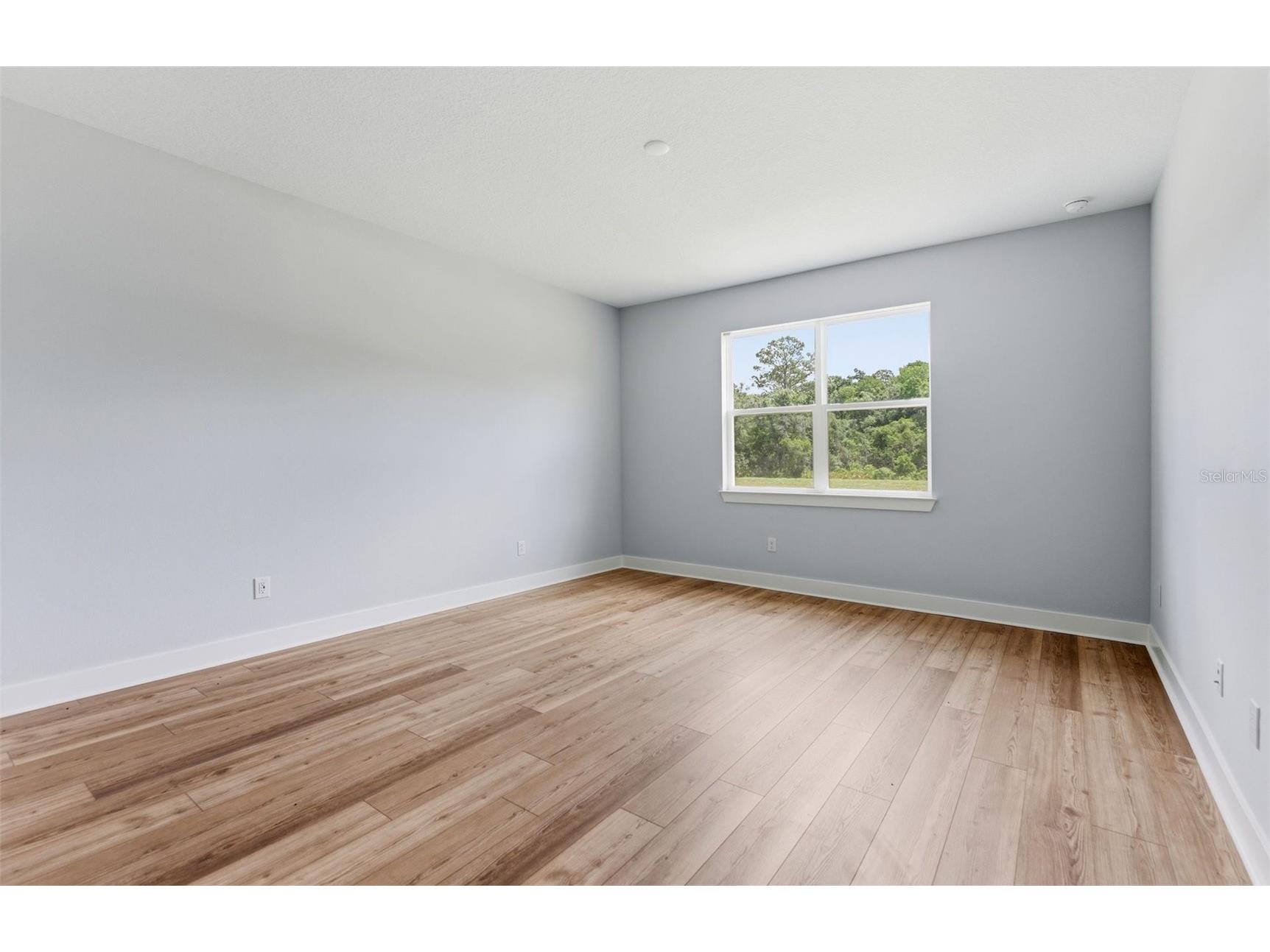 13504 Canyon Ridge Road Spring Hill FL 34610 TB8485674 image6