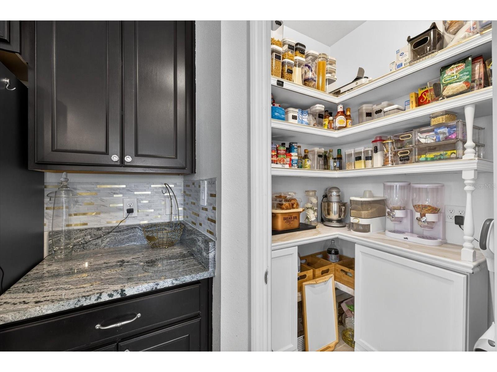 13504 Golden Lime Avenue Spring Hill FL 34609 TB8498695 image17