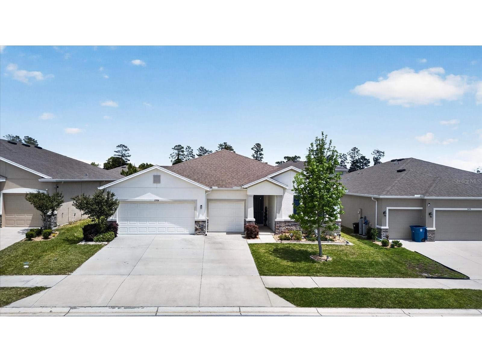 13504 Golden Lime Avenue Spring Hill FL 34609 TB8498695 image62