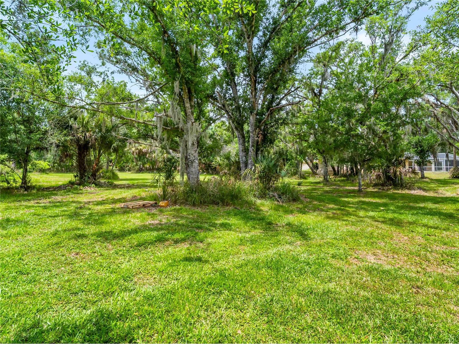 13505 Wild Citrus Road Sarasota FL 34240 D6147465 image9