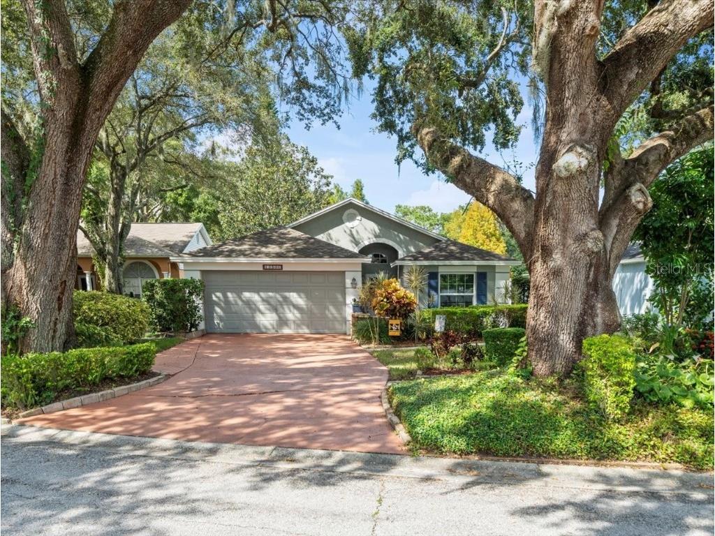 13506 Bellingham Drive Tampa FL 33625 TB8306519 image1
