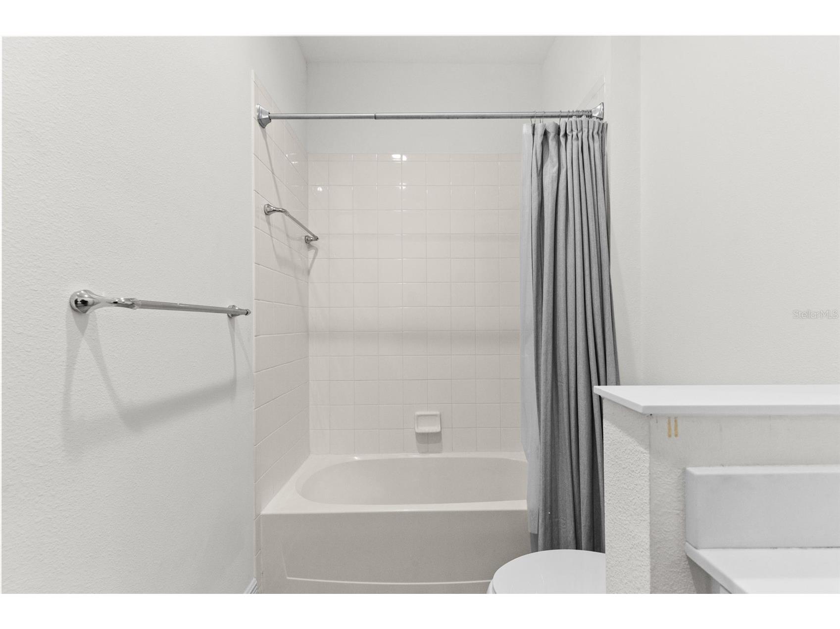 13506 Circa Crossing Drive Lithia FL 33547 TB8522551 image54