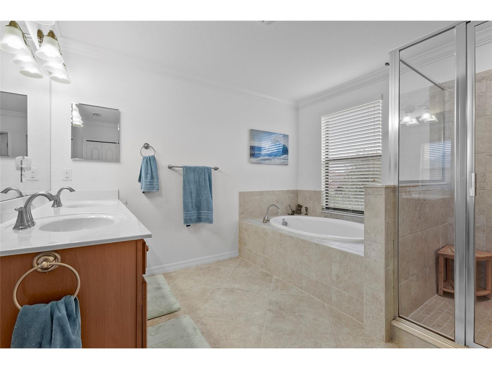 13506 Saw Palm Creek Trail Bradenton FL 34211 A4679920 image9