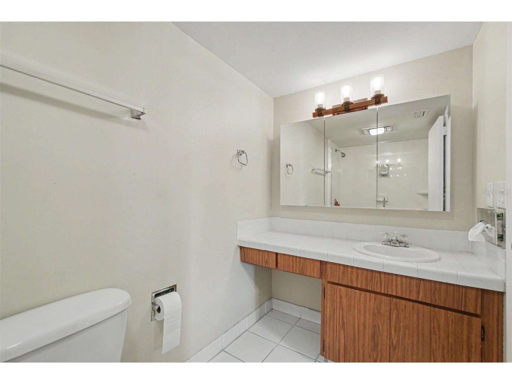 13507 Palmwood Lane #13507 Tampa FL 33618 TB8505532 image18
