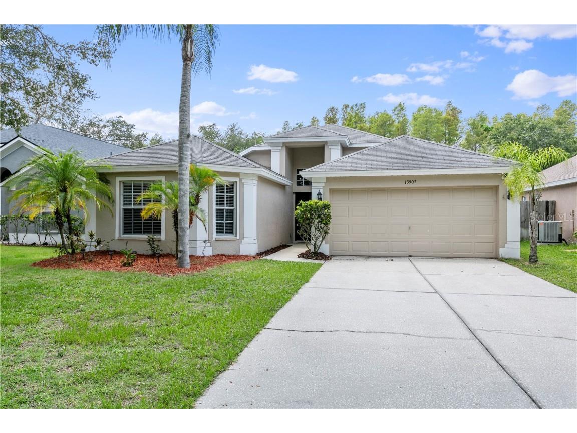 13507 Staghorn Road Tampa FL 33626 T3463999 image1