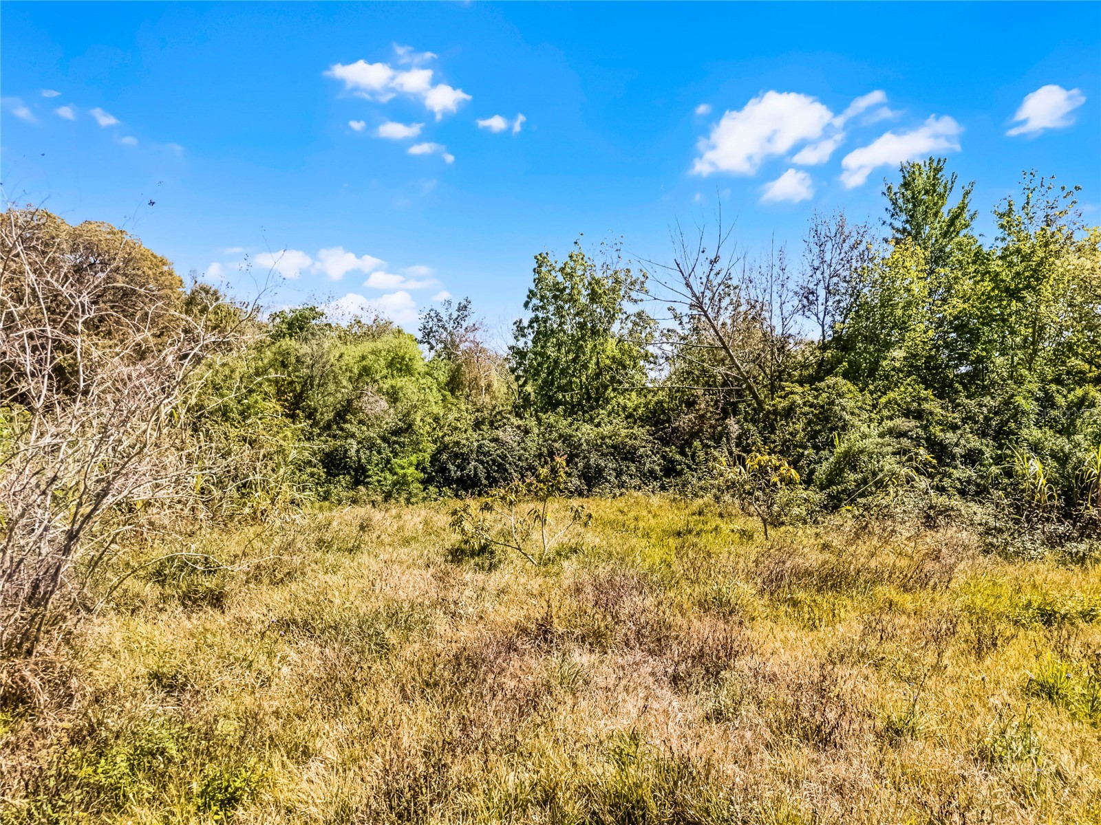 1351 Avalon Road Winter Garden FL 34787 O6372557 image1