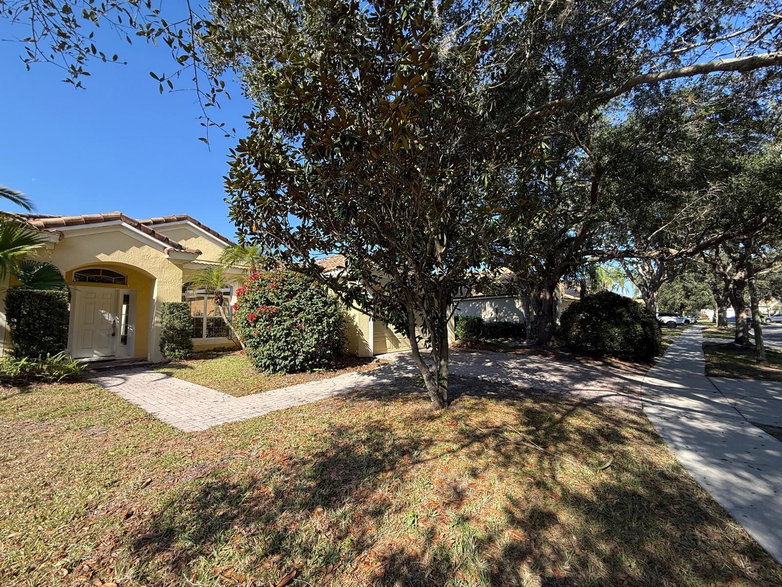 1351 Glenwick Drive Windermere FL 34786 O6369599 image5