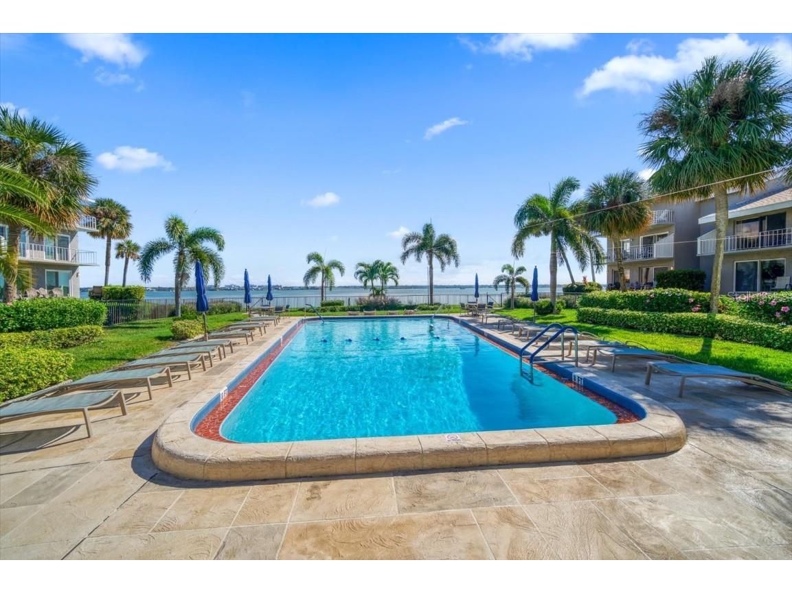 1351 Gulf Boulevard #219 Clearwater Beach FL 33767 TB8451010 image46