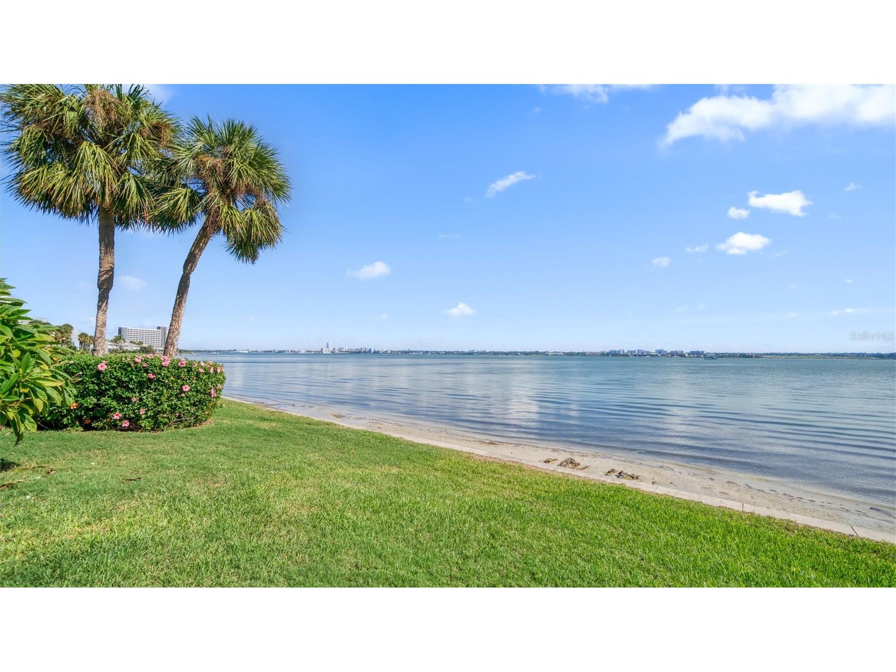 1351 Gulf Boulevard #219 Clearwater Beach FL 33767 TB8467718 image28