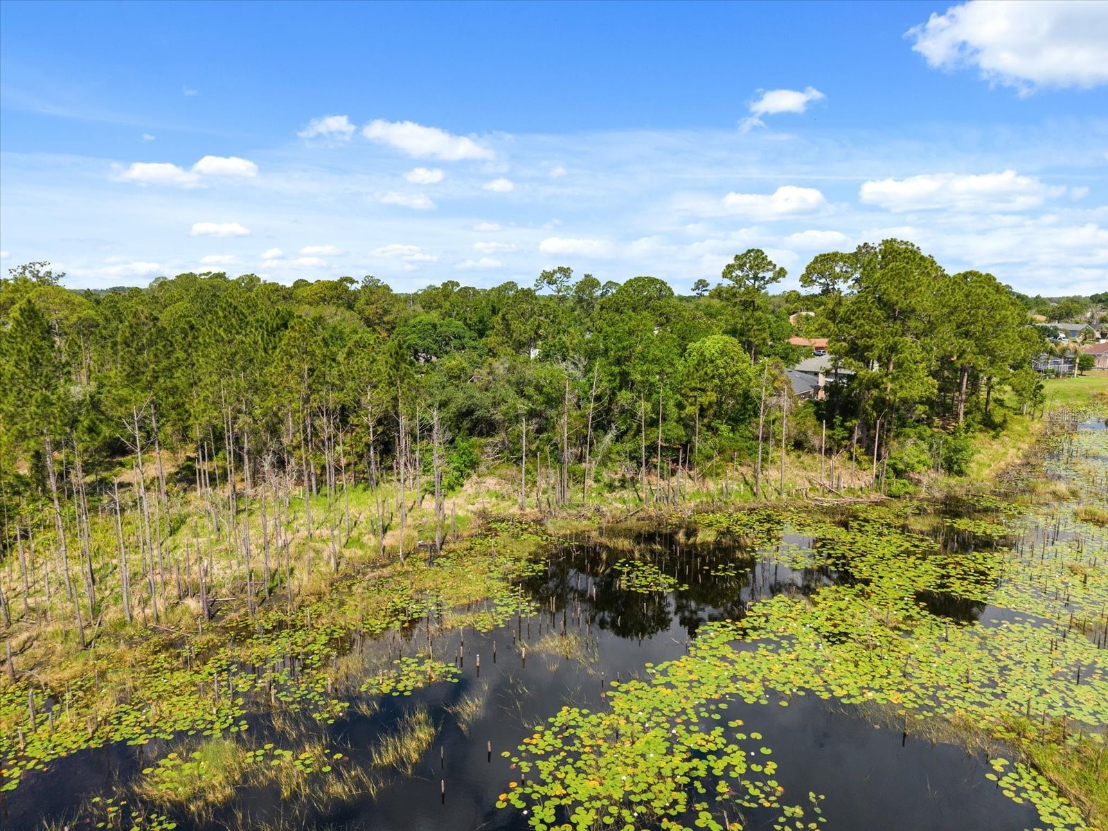 1351 Melshire Avenue Deltona FL 32738 S5148474 image18
