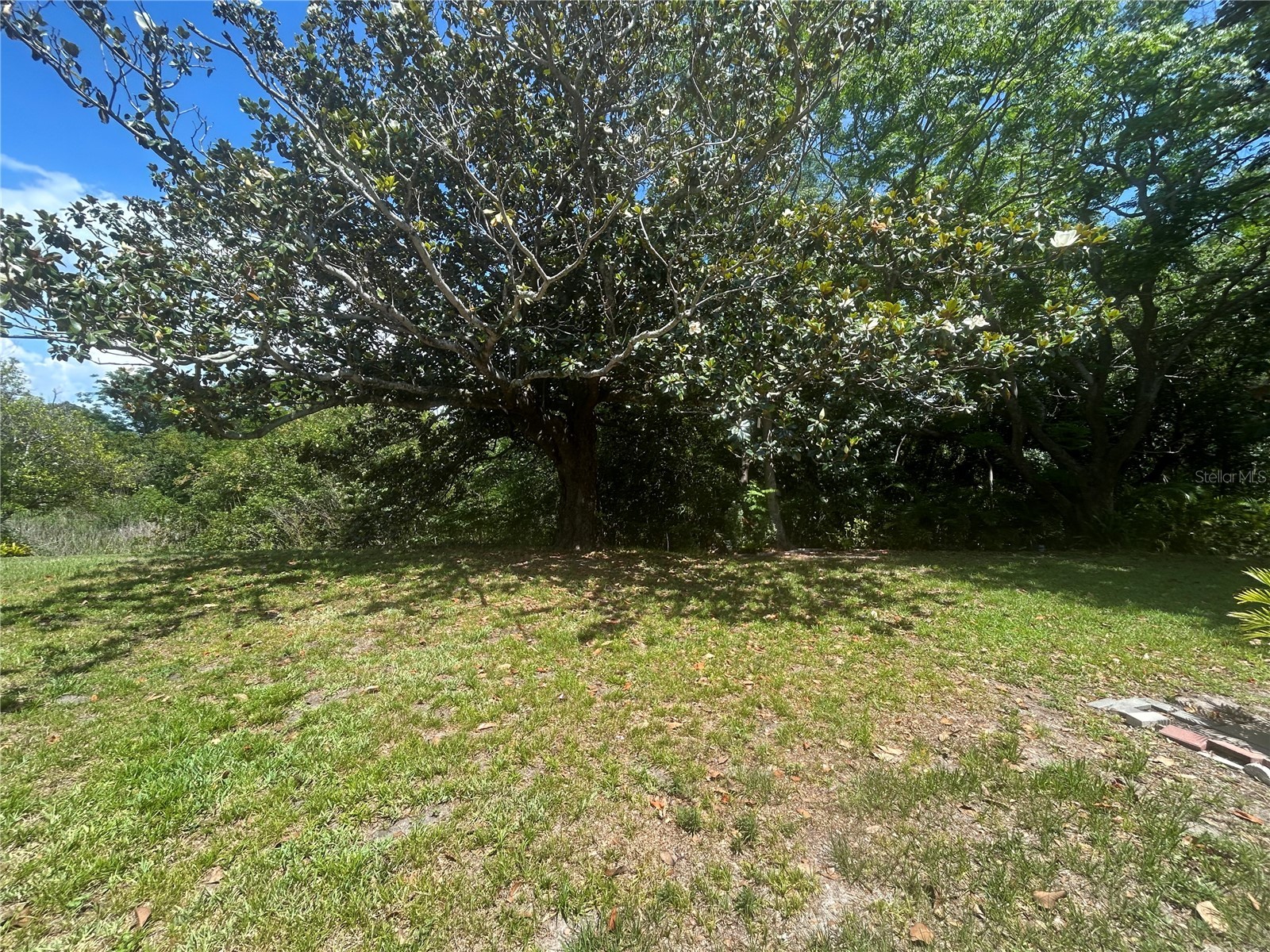 1351 Mission Circle #48-E Clearwater FL 33759 TB8512725 image16