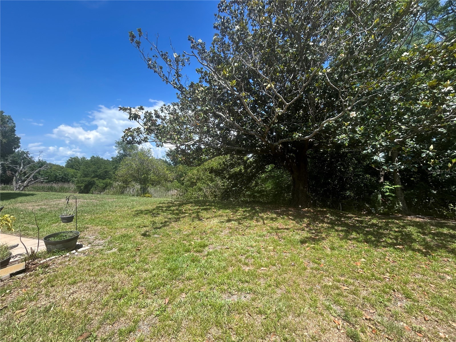 1351 Mission Circle #48-E Clearwater FL 33759 TB8512725 image17